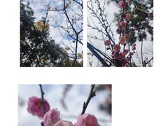 -盘门景区