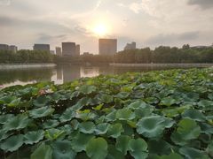 -长春世界雕塑园冰雪艺术天地