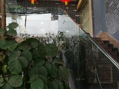 -陶然居·重庆菜(南滨路店)