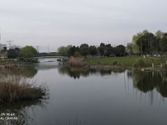 -九里河湿地公园