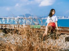 -海堤纪念公园
