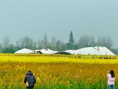 -中国天府农业博览园