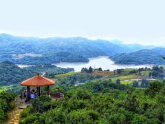 -大姆山草场