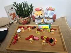 -柴迷FANS CLUB·柴犬狗咖·猫咖