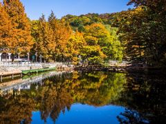 -洛阳白云山景区