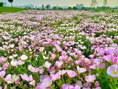 -汉长安城未央宫国家考古遗址公园