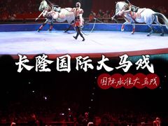 -珠海横琴长隆《卡卡虎奇遇记》