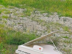 -仙海旅游度假区