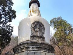 -大觉寺-停车场