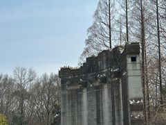 -音乐台