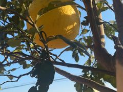 -美家乐农庄·露营·团建(大治路店)