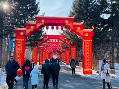 -长春市南湖公园