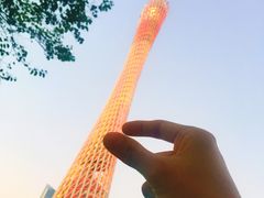 -广州都市观光巴士(粤陶巴)