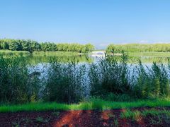 -大兴滨河森林公园