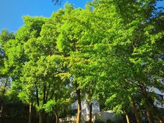 -南京双门楼宾馆(盐仓桥地铁站阅江楼店)