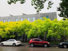 -中央民族大学