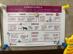 -美联众合爱康动物医院•复杂内科•肿瘤科•牙科•腔镜诊疗中心