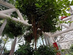 -石家庄市植物园
