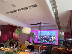 -老板恋上鱼(恒隆广场店)