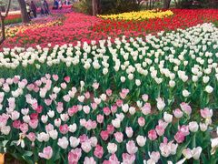 -北京植物园-展览温室