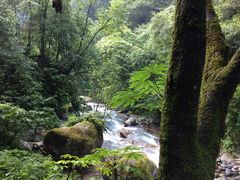 -西岭雪山大飞水景区