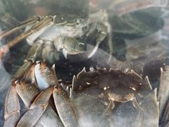 -马王堆海鲜水产市场