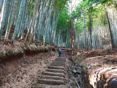 -溪口商量岗景区