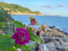 -三亚西岛海洋文化旅游区