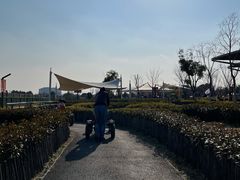 -季高兔窝窝亲子园(上海薰衣草公园店)