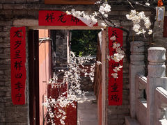 -潭柘寺景区