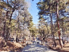 -承德避暑山庄景区