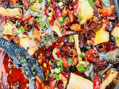 -黑竹香鸡(营和巷店)