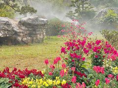 -东莞植物园