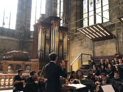 -斯蒂芬主教座堂(Stephansdom)