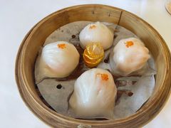 -千灯盛汇·头牌粤菜(致越优城店)