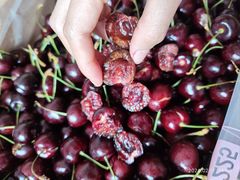 -沈阳市八家子水果批发市场