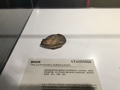 -生命奥秘博物馆