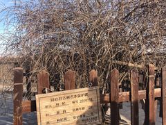 -银川河东国际机场