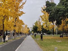 -四川大学(望江校区)
