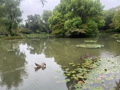 -洛阳市隋唐城遗址植物园