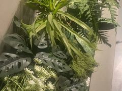 -施奈儿.洗头頭療.按摩SPA.采耳(上梅林店)