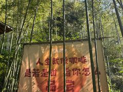 -山沟沟景区