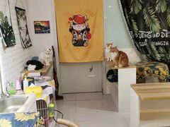 用餐区-平行世界·猫咖(首经贸店)