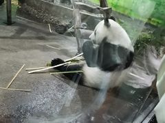 -柳州市动物园
