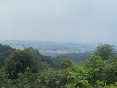 -火炉山森林公园
