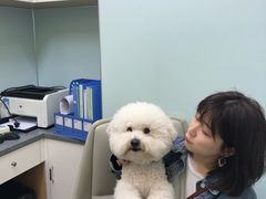 -瑞派宠物医院(锦江店)