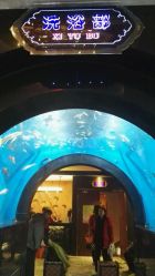 -鑫淼餐饮娱乐中心(江东街店)