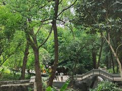 -东明山森林公园