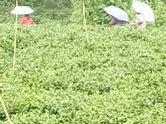 -南京金牛湖风景区