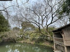 -西溪国家湿地公园